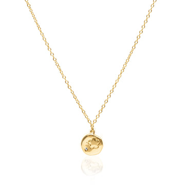 Coin Star Necklace